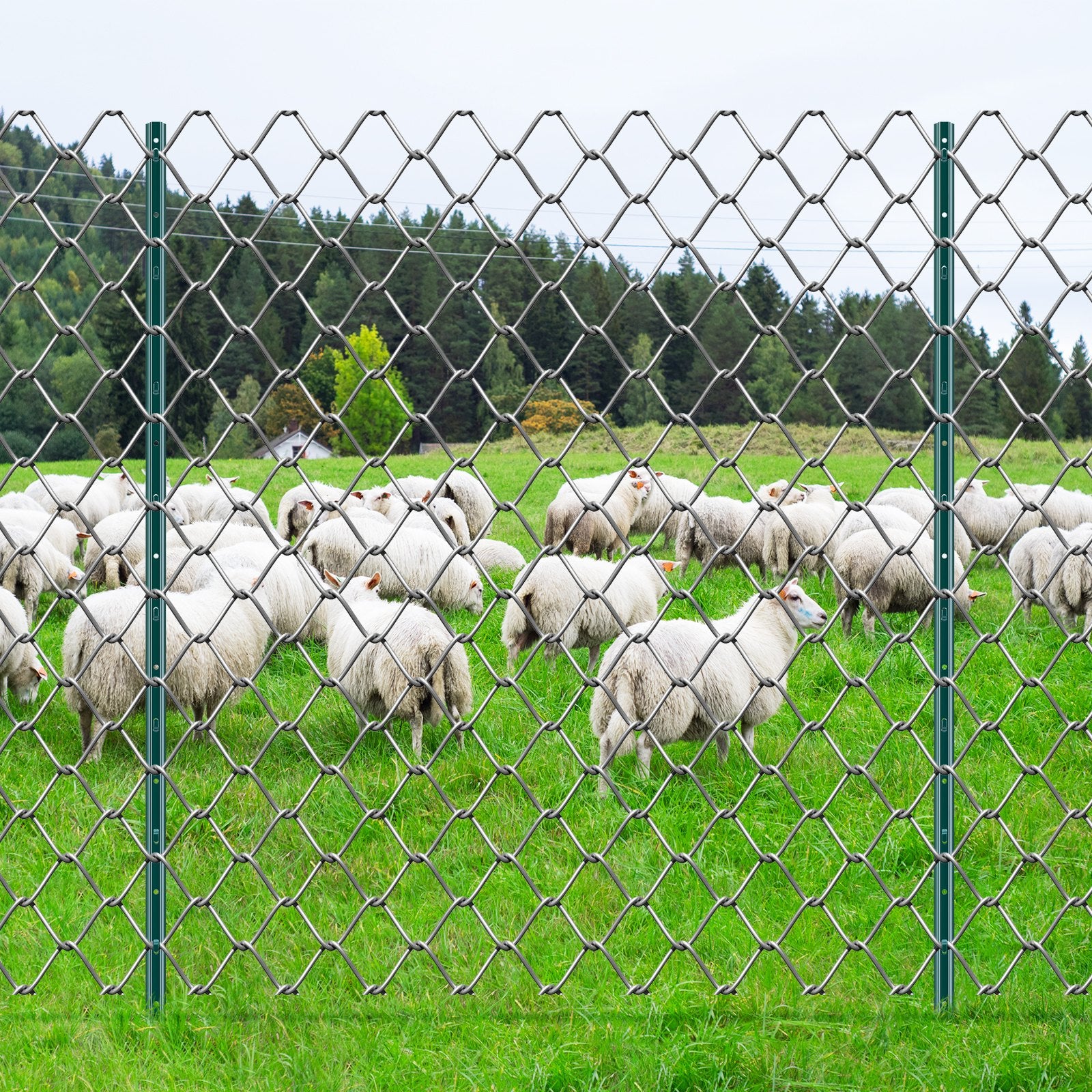 Traffic Control & Parking Tools: VEVOR 5 Feet Fence Post 10 Pack T-Post Heavy Duty Metal Fence Posts Green