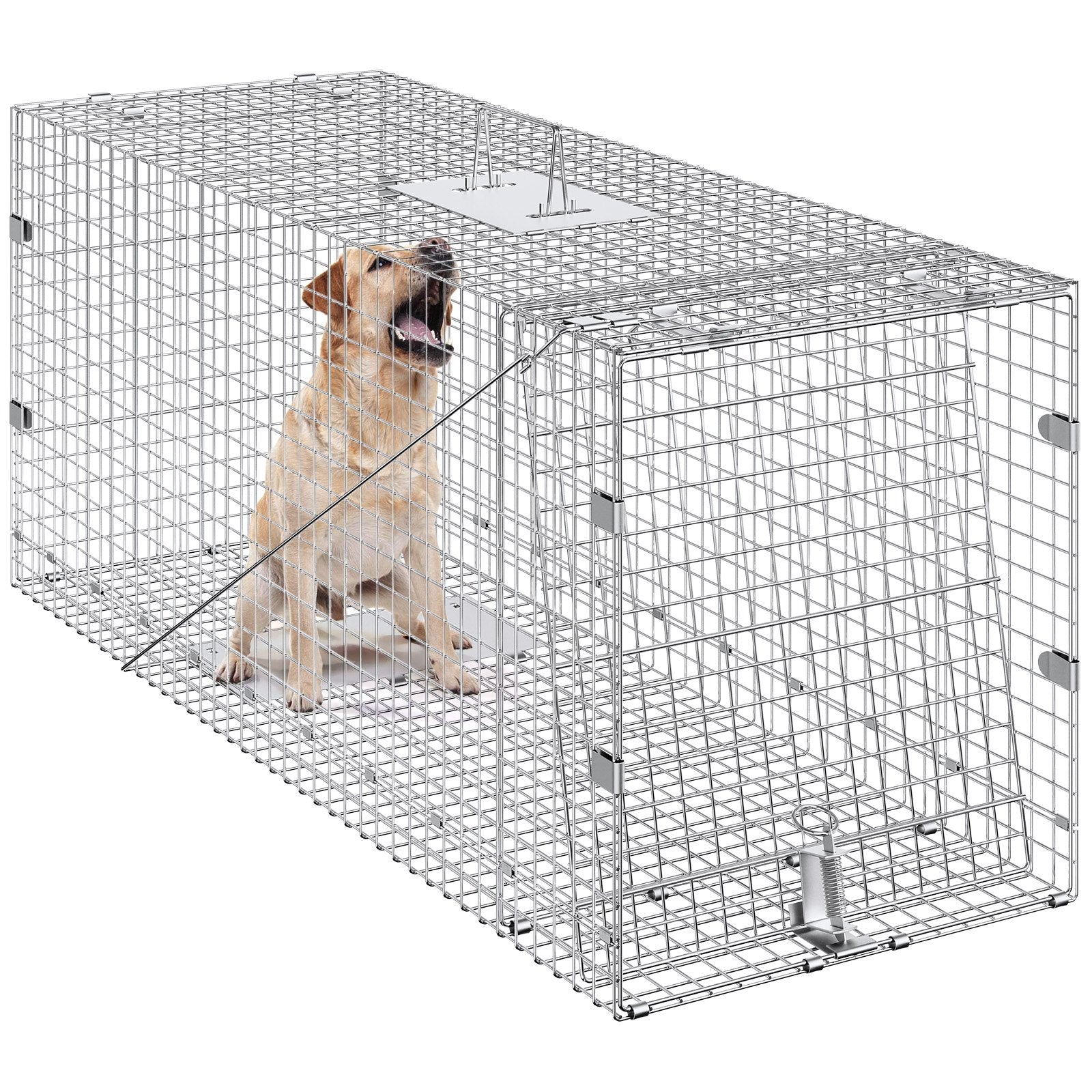 Animal Traps: VEVOR Live Animal Cage Trap, 50" x 20" x 26" Humane Cat Trap Galvanized Iron, Folding Animal Trap with Handle for Stray Dogs, Armadillos, Raccoons, Marmots, Foxes