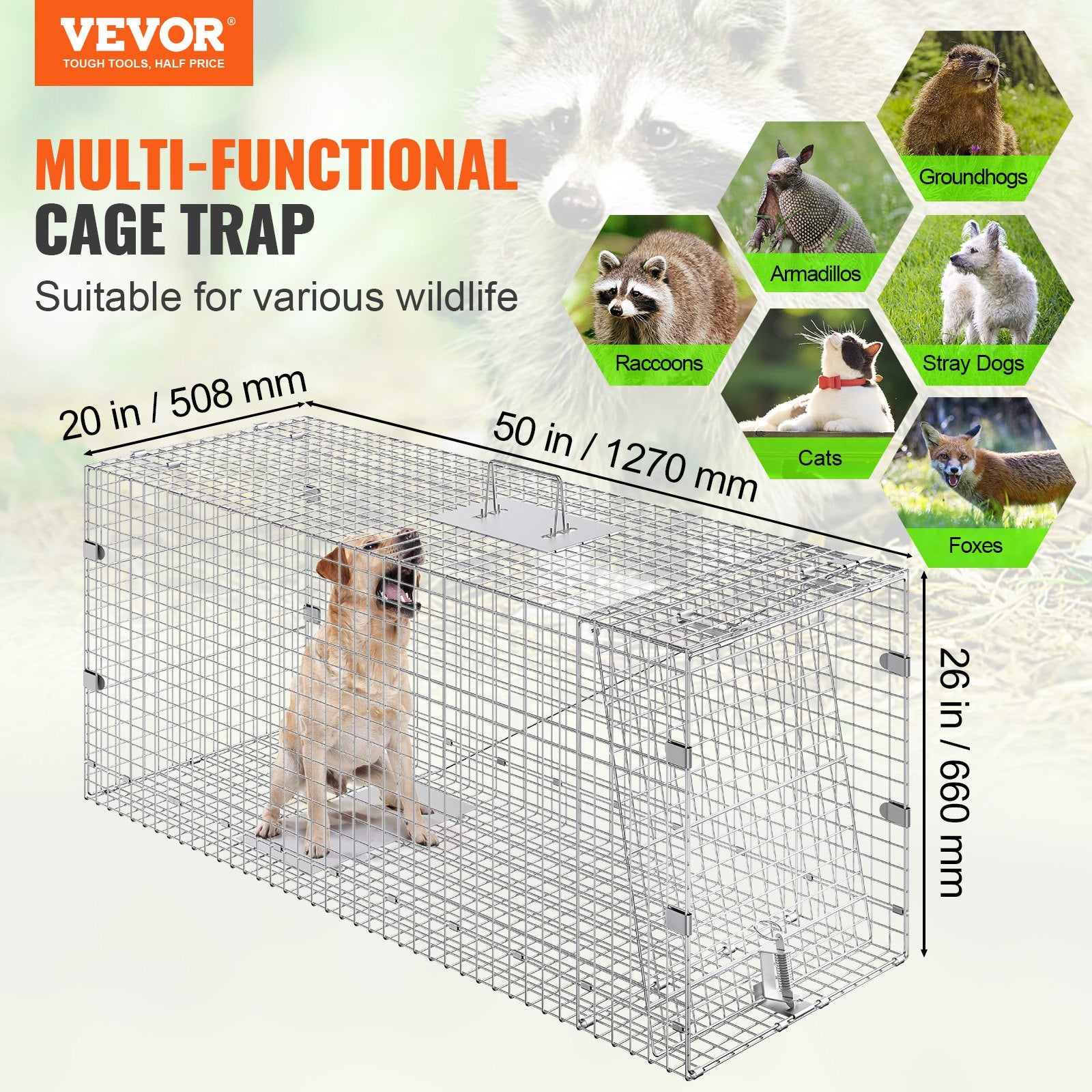 Animal Traps: VEVOR Live Animal Cage Trap, 50" x 20" x 26" Humane Cat Trap Galvanized Iron, Folding Animal Trap with Handle for Stray Dogs, Armadillos, Raccoons, Marmots, Foxes
