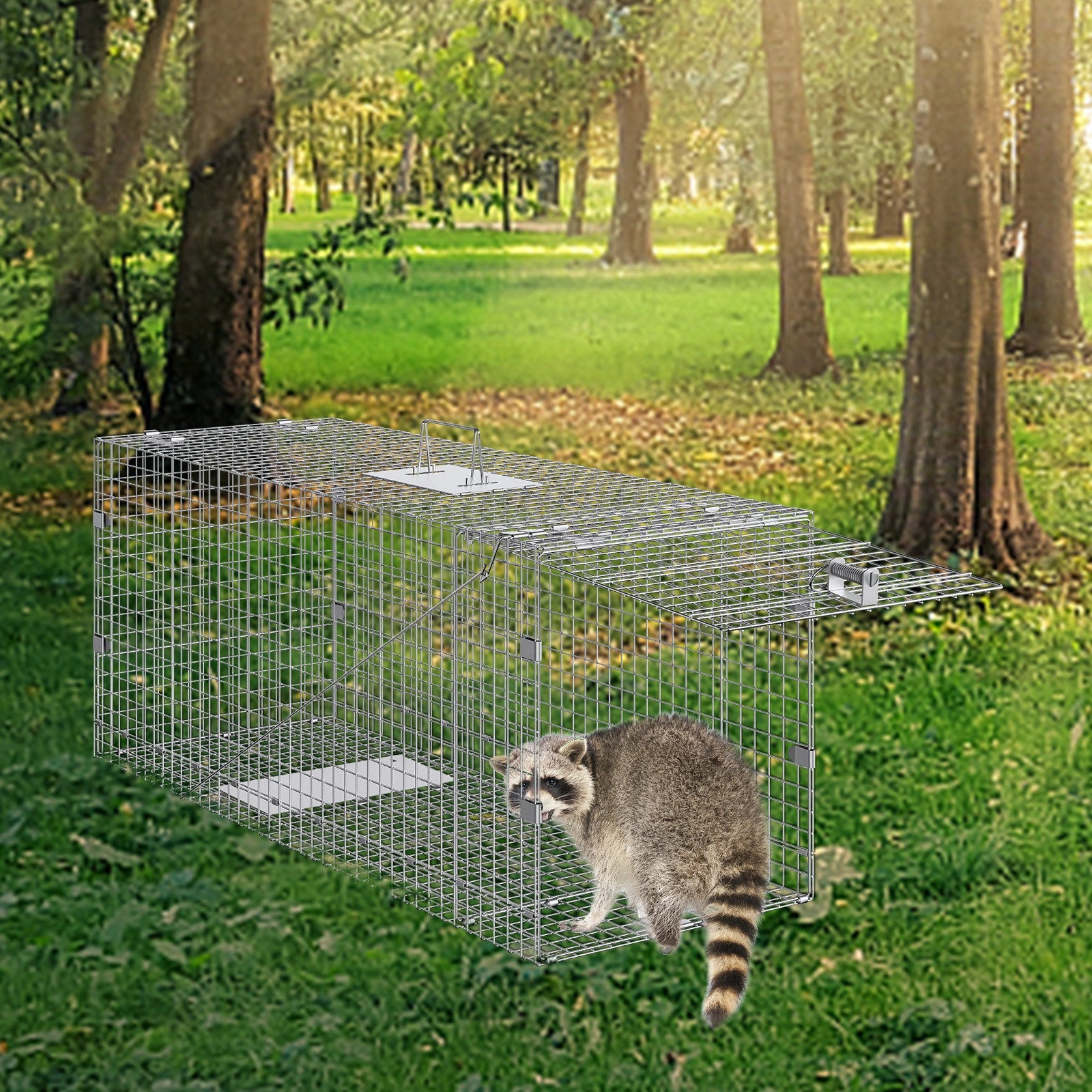 Animal Traps: VEVOR Live Animal Cage Trap, 50" x 20" x 26" Humane Cat Trap Galvanized Iron, Folding Animal Trap with Handle for Stray Dogs, Armadillos, Raccoons, Marmots, Foxes