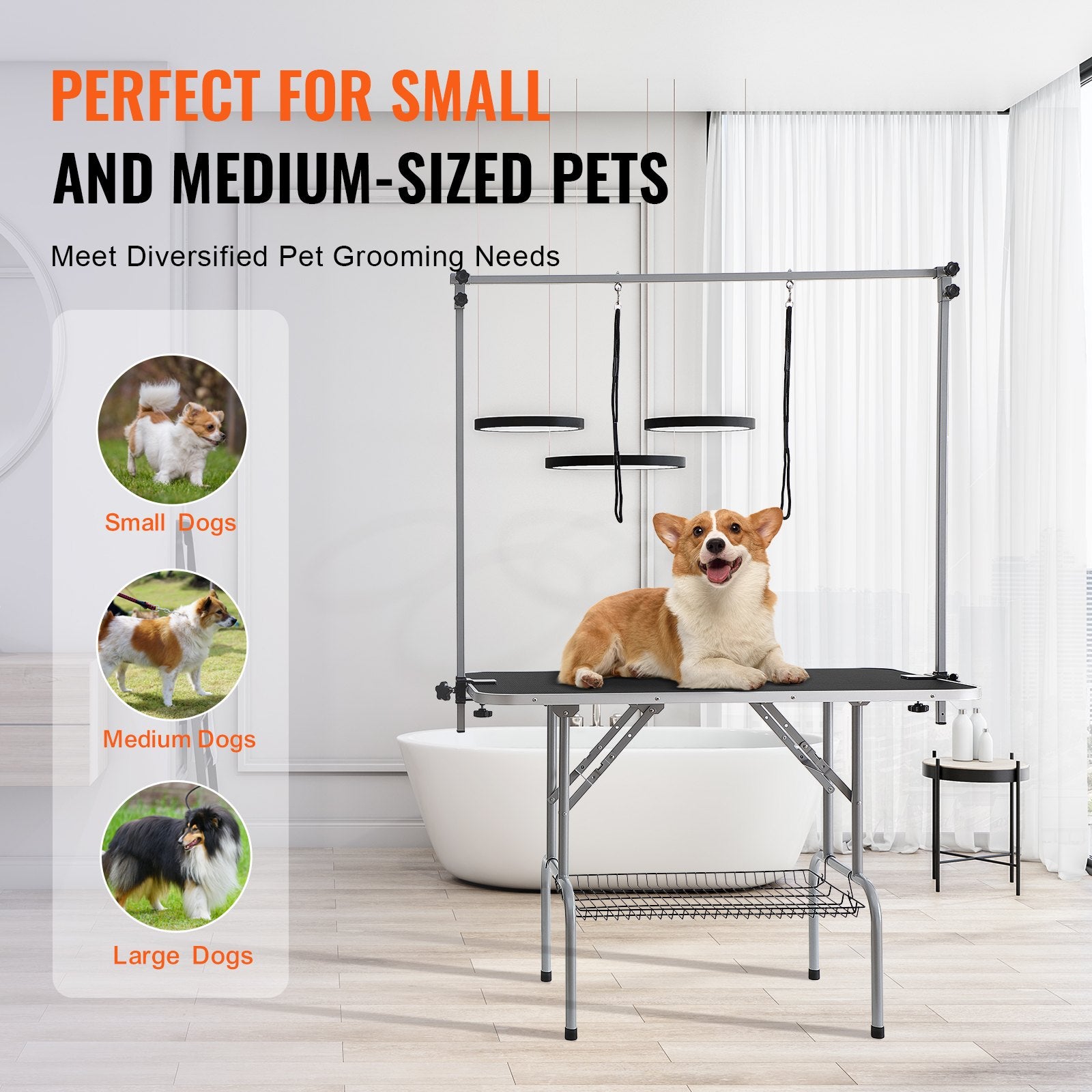 Dog Grooming Supplies: VEVOR Pet Grooming Table Two Arms with Clamp, 117cm Dog Grooming Station, Foldable Pets Grooming Stand for Medium and Small Dogs, Free Two No Sit Haunch Holder with Grooming Loop, Bearing 149.7kg