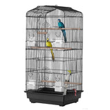 Bird Cages & Stands: VEVOR Bird Flight Cage 39 in Hanging Metal Parakeet Cage for Cockatiels Parrot