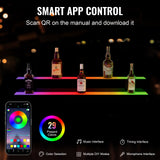 Basketball & Basketball Accessories: VEVOR LED Lighted Liquor Bottle Display, 2 Tiers 40 Inch Commercial Illuminated Home Bar Shelf, 2 Steps Whiskey Rack Stand, Acrylic Drink Shelves with RF Remote & App Control, and Multicolor lighting