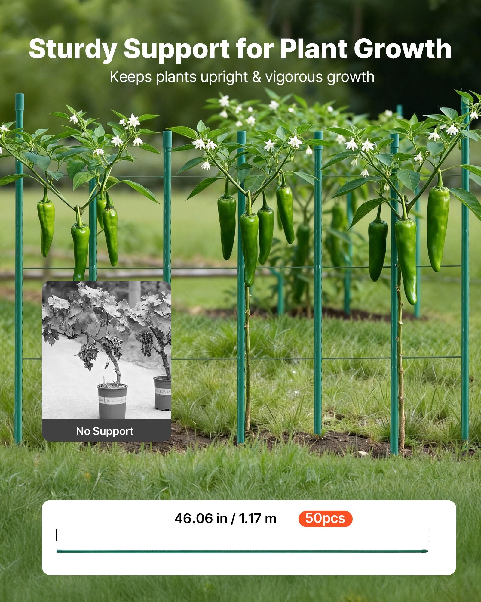 Garden Stakes, 50 Pack, 1170 mm, Plastic Coated Metal Tomato Stakes, Garden Sticks for Plants Support, with Pointed End and Non-Slip Bumps for Growing Climbing Plants, Outdoor Vegetables