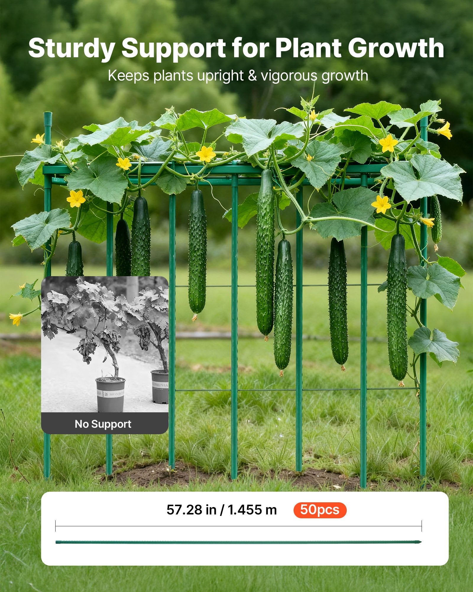 Garden Stakes, 50 Pack, 1455 mm, Plastic Coated Metal Tomato Stakes, Garden Sticks for Plants Support, with Pointed End and Non-Slip Bumps for Growing Climbing Plants, Outdoor Vegetables