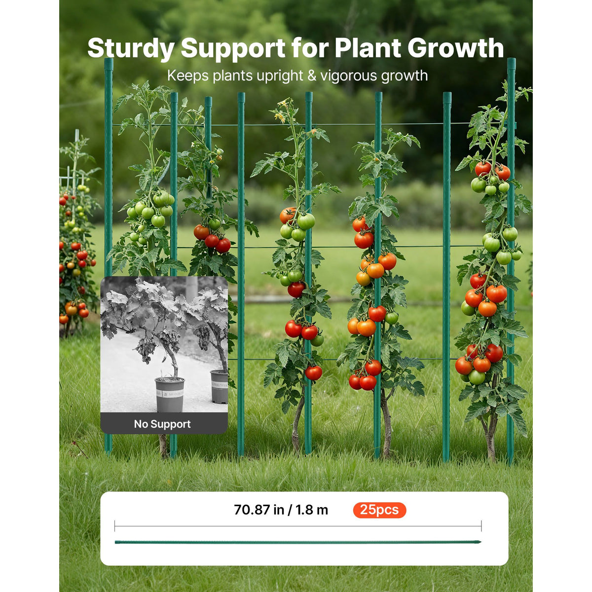 Garden Stakes, 25 Pack, 1800 mm, Plastic Coated Metal Tomato Stakes, Garden Sticks for Plants Support, with Pointed End and Non-Slip Bumps for Growing Climbing Plants, Outdoor Vegetables