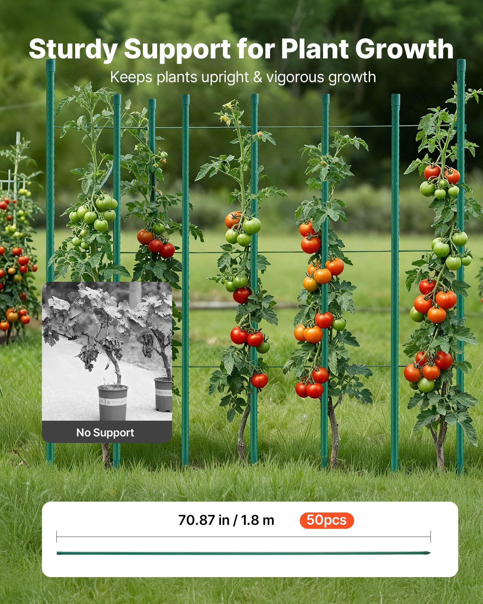 Garden Stakes, 50 Pack, 1800 mm, Plastic Coated Metal Tomato Stakes, Garden Sticks for Plants Support, with Pointed End and Non-Slip Bumps for Growing Climbing Plants, Outdoor Vegetables
