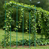 Garden Beds & Planters: VEVOR Garden Stakes, 25 Pack, 2100 mm, Plastic Coated Metal Tomato Stakes, Garden Sticks for Plants Support, with Pointed End and Non-Slip Bumps for Growing Climbing Plants, Outdoor Vegetables