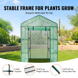 Greenhouses & Accessories: VEVOR Walk-in Green House, 4.6 x 2.4 x  6.7 ft  Greenhouse with Shelves, Set Up in Minutes, High Strength PE Cover with Doors & Windows and Steel Frame, Suitable for Planting and Storage, Green