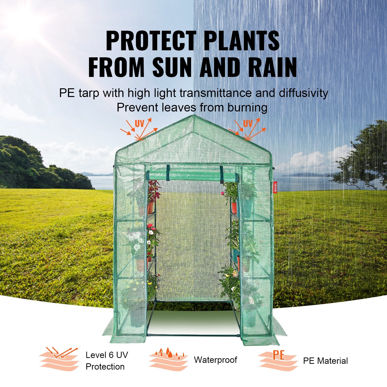 Greenhouses & Accessories: VEVOR Walk-in Green House, 4.6 x 2.4 x  6.7 ft  Greenhouse with Shelves, Set Up in Minutes, High Strength PE Cover with Doors & Windows and Steel Frame, Suitable for Planting and Storage, Green
