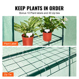 Greenhouses & Accessories: VEVOR Walk-in Green House, 4.6 x 2.4 x  6.7 ft  Greenhouse with Shelves, Set Up in Minutes, High Strength PE Cover with Doors & Windows and Steel Frame, Suitable for Planting and Storage, Green