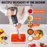 Food Mixers & Blenders: VEVOR Commercial Immersion Blender 500W Heavy Duty Hand Mixer for Soup Sauces