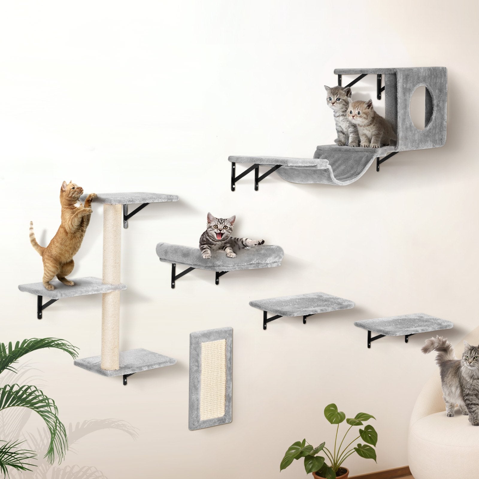 Coat Racks: VEVOR Wall Mounted Cat Shelves, Cat Wall Shelves and Perches with Jumping Boards, Hammock, Sofa, Cat Tree & Cat Grip, Cat Furniture and Shelves up to 40 lbs for Sleeping, Playing, Climbing, Set of 6