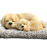 Baby & Toddler Clothing: Sleepy Tails - Mother and Baby - Golden Retriever