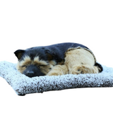 Non-Fiction Books: Sleepy Tails - German Shepherd Sleeping