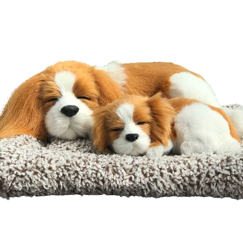 Non-Fiction Books: Sleepy Tails - Mother and Baby - King Charles Spaniel