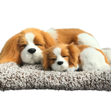 Non-Fiction Books: Sleepy Tails - Mother and Baby - King Charles Spaniel