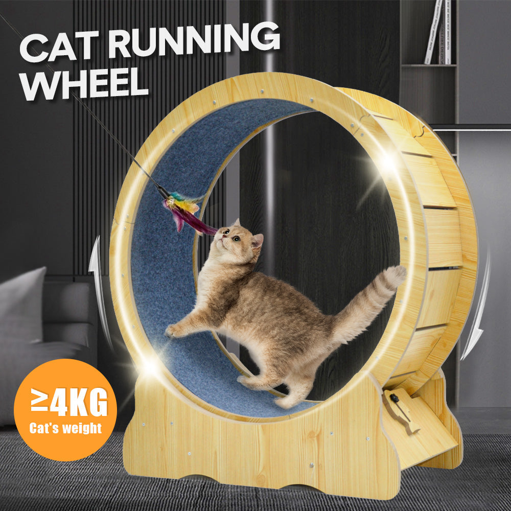 Cat Toys: Cat Running Wheel Cat Running Wheel Ultra-Quiet Treadmill Exerciser Scratcher with Anti-Slip Carpet Detachable Runway and Safety Latch Cat Sport Runner Toy