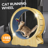 Cat Toys: Cat Running Wheel Cat Running Wheel Ultra-Quiet Treadmill Exerciser Scratcher with Anti-Slip Carpet Detachable Runway and Safety Latch Cat Sport Runner Toy