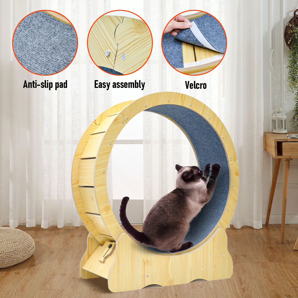 Cat Toys: Cat Running Wheel Cat Running Wheel Ultra-Quiet Treadmill Exerciser Scratcher with Anti-Slip Carpet Detachable Runway and Safety Latch Cat Sport Runner Toy