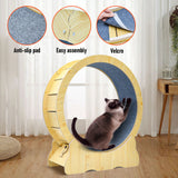Cat Toys: Cat Running Wheel Cat Running Wheel Ultra-Quiet Treadmill Exerciser Scratcher with Anti-Slip Carpet Detachable Runway and Safety Latch Cat Sport Runner Toy