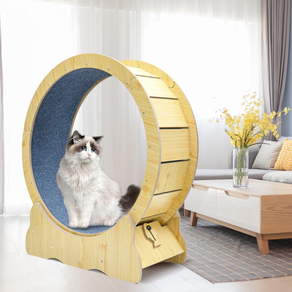 Cat Toys: Cat Running Wheel Cat Running Wheel Ultra-Quiet Treadmill Exerciser Scratcher with Anti-Slip Carpet Detachable Runway and Safety Latch Cat Sport Runner Toy