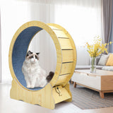 Cat Toys: Cat Running Wheel Cat Running Wheel Ultra-Quiet Treadmill Exerciser Scratcher with Anti-Slip Carpet Detachable Runway and Safety Latch Cat Sport Runner Toy