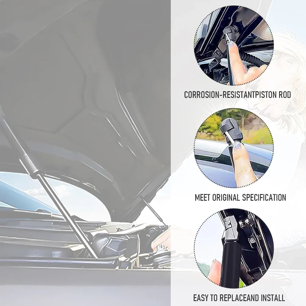 6pcs Premium Gas Struts Kit for Ford Territory SX SY 2004-2011 Bonnet Tailgate  Window Glass Direct Replacement Steel Anti-Rust Easy Install