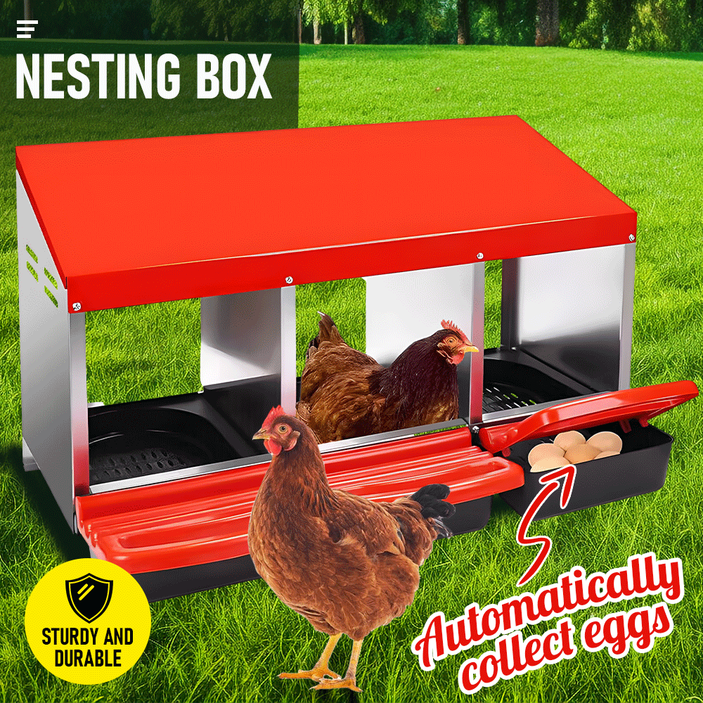 Small Animal Habitats & Cages: Chicken Hen Coop Hutch Nesting Box 3-Hole Roll Away Metal Design 52x47.5x81cm Durable Indoor Outdoor Laying Box with Easy Access Ventilation