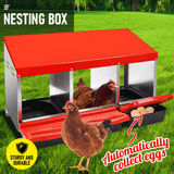 Small Animal Habitats & Cages: Chicken Hen Coop Hutch Nesting Box 3-Hole Roll Away Metal Design 52x47.5x81cm Durable Indoor Outdoor Laying Box with Easy Access Ventilation