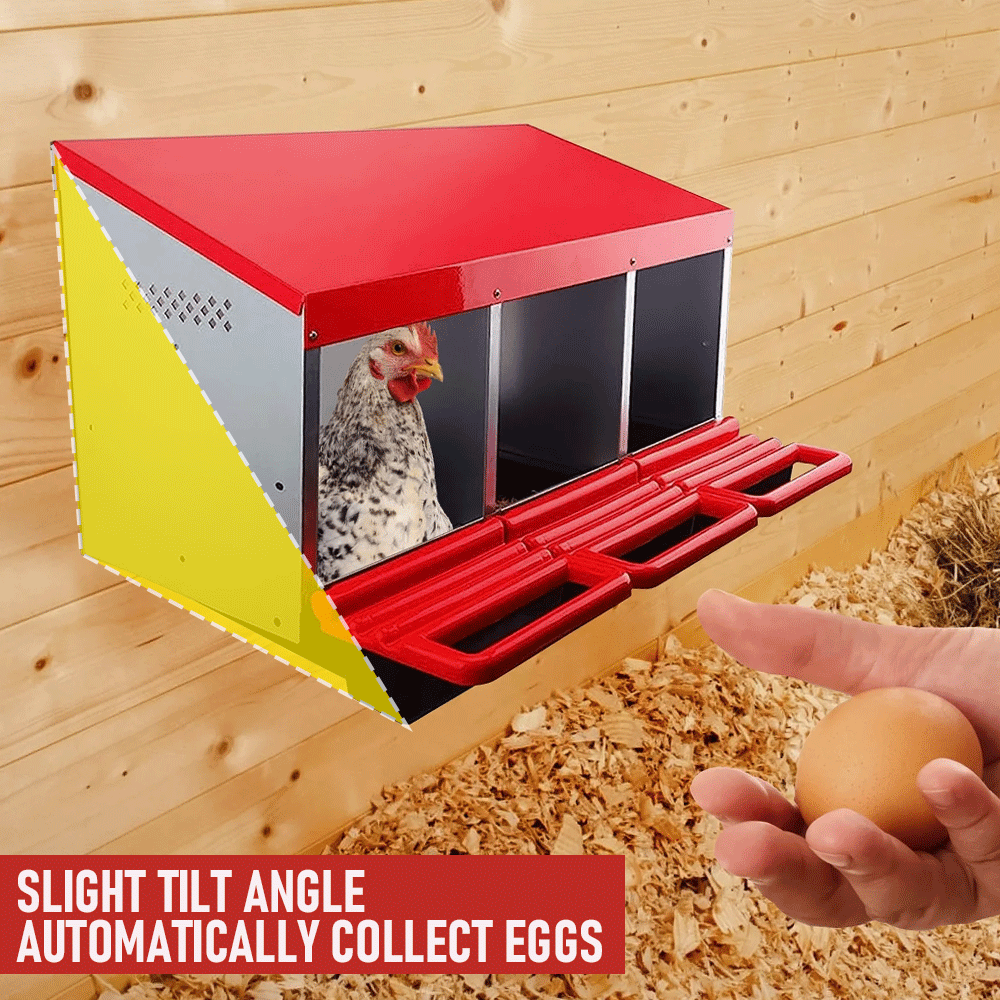 Small Animal Habitats & Cages: Chicken Hen Coop Hutch Nesting Box 3-Hole Roll Away Metal Design 52x47.5x81cm Durable Indoor Outdoor Laying Box with Easy Access Ventilation