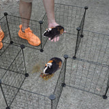 Dog Playpens & Gates: Pet Playpen Foldable Metal Pet Cage Enclosure Puppy Fence 16 Panels with Connection Clips for Small Animal Puppy Rabbit Kitten Turtle Indoor Outdoor Black