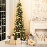Outdoor Decorations & Lights: Jingle Jollys Christmas Tree 1.8m Pre-Lit 200 LED Lights Xmas Tree Decorations