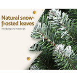 Christmas Trees: Jingle Jollys Christmas Tree 1.8m Xmas Tree Decorations Snowy 300 Tips