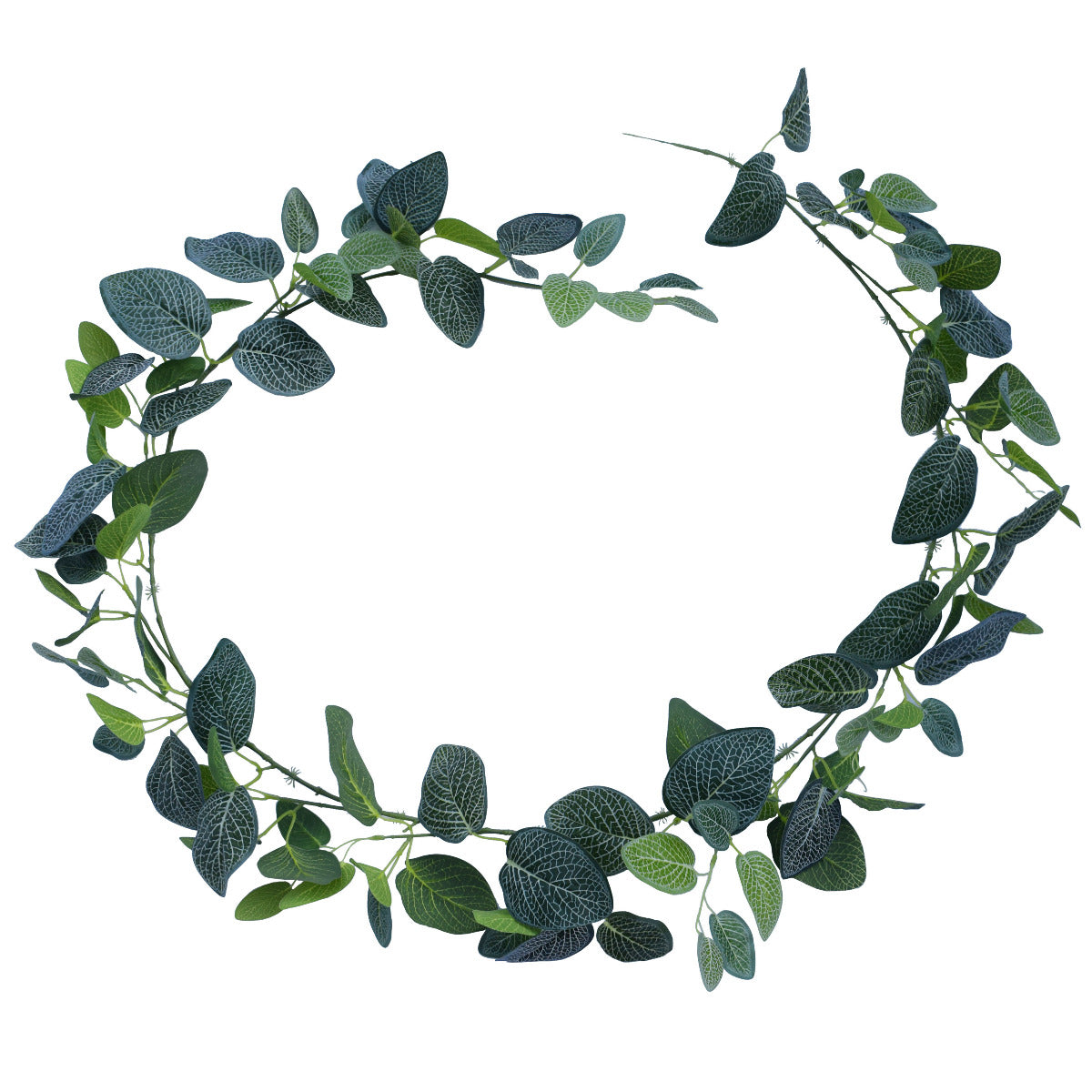 Artificial Flowers & Plants: Artificial Fittonia Garland 190cm