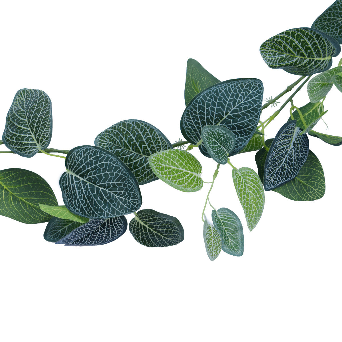 Artificial Flowers & Plants: Artificial Fittonia Garland 190cm