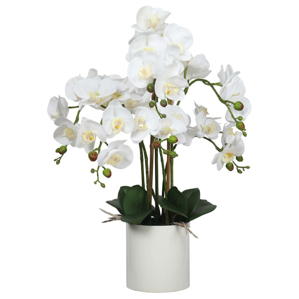Artificial Flowers & Plants: Large Multi-Stem White Potted Faux Orchid 65cm