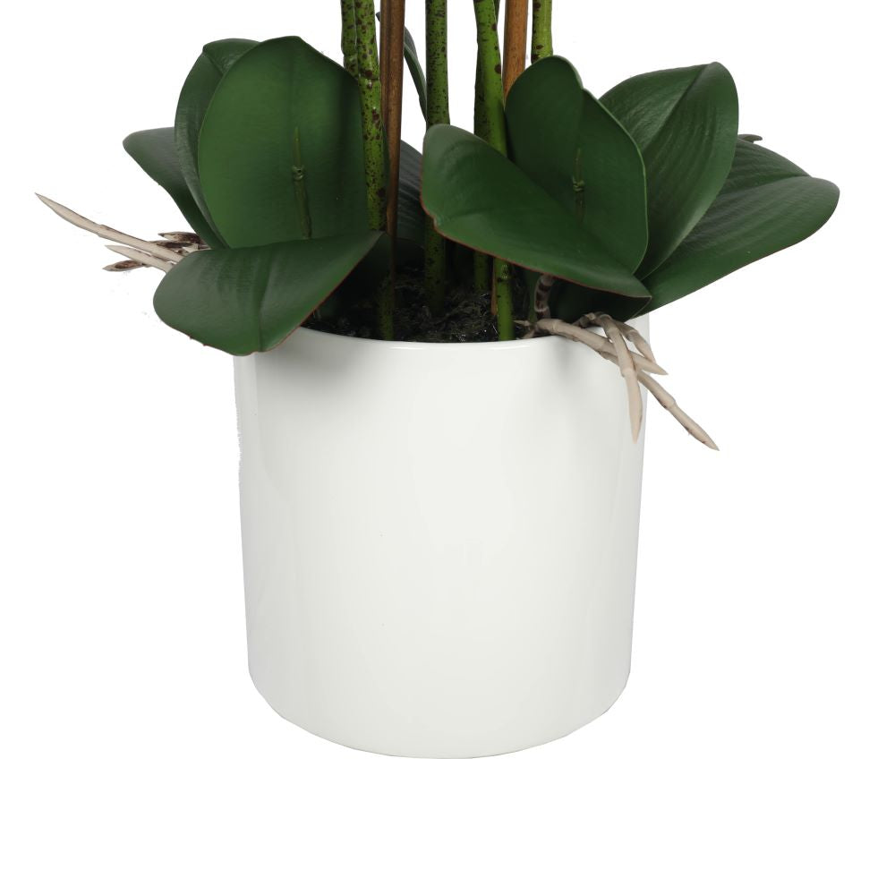 Artificial Flowers & Plants: Large Multi-Stem White Potted Faux Orchid 65cm