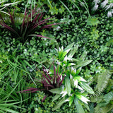 Caravan Accessories: Vista Green Vertical Garden Green Wall UV Resistant 100cm x 100cm