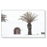 Wall Art 50cmx70cm European Palm Tree White Frame Canvas