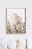 Wall Art 40cmx60cm Pampas Grass 2 Sets Wood Frame Canvas