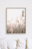 Wall Art 40cmx60cm Pampas Grass 2 Sets Wood Frame Canvas