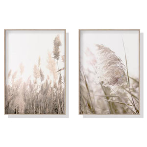 Wall Art 40cmx60cm Pampas Grass 2 Sets Wood Frame Canvas