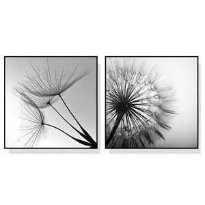 Wall Art 70cmx70cm Black and white dandelion 2 Sets Black Frame Canvas