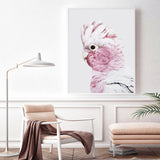 Wall Art 80cmx120cm Pink Galah White Frame Canvas