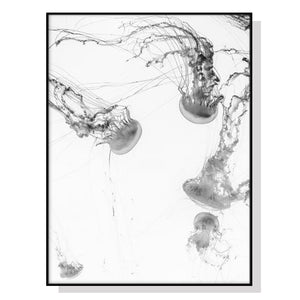 Wall Art 50cmx70cm Jellyfish Black Frame Canvas