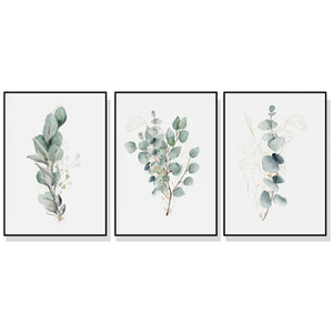 Wall Art 40cmx60cm Eucalyptus Plant  3 Sets Black Frame Canvas