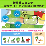 [6-PACK] S.T. Japan Refrigerate Vegetables for Long-term Preservation