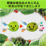 [6-PACK] S.T. Japan Refrigerate Vegetables for Long-term Preservation