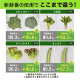 [6-PACK] S.T. Japan Refrigerate Vegetables for Long-term Preservation